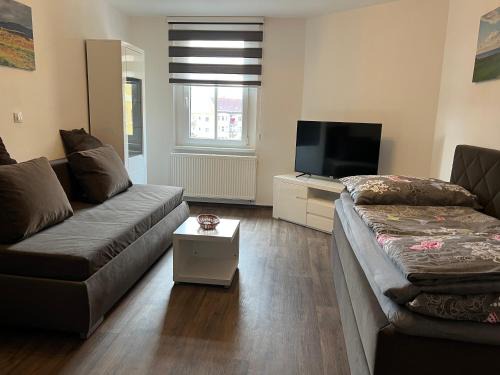 Usti nad Labem Apartment | Apartman Centrum 401