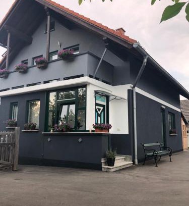 Selnica Apartment | APARTMAN i SOBA HADELA