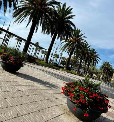 Salou City Centre Apartment | Apartman Leoni 1 linea