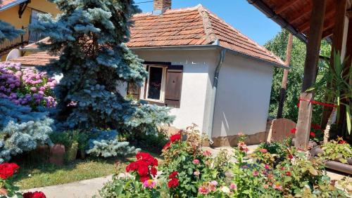 Mladenovac Apartment | Apartman Nebojša