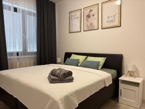 Puchov Apartment | Apartman SPORKA