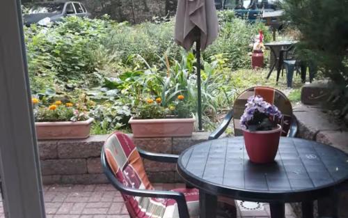 Buchholz in der Nordheide Apartment | Apartment bis 7 Peesonen bei Hamburg