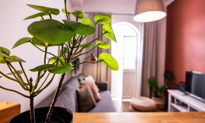 Se Apartment | Apartment ∙ 16 guests
