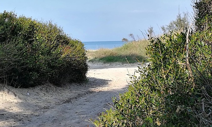 Mazzanta Apartment | Apartment 200 meters from the sandy beach and the pine forest