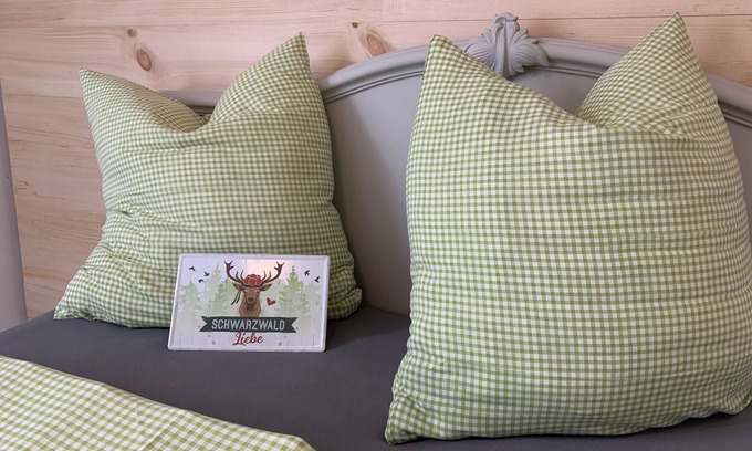 Schuttertal Apartment | Apartment 'Bee Home' with Mountain View, Private Terrace and Wi-Fi