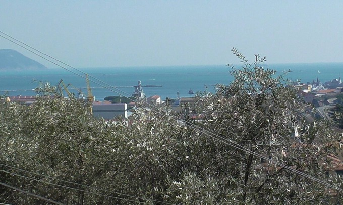 La Spezia Apartment | Apartment between lemon and olive trees with sea view CITRA code 011015-LT-0925