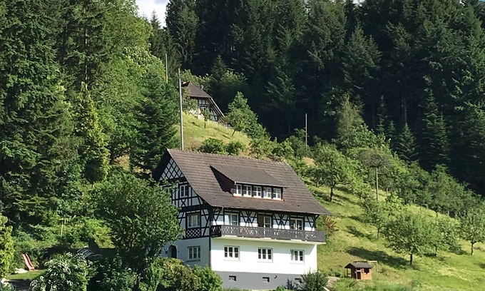 Oberkirch Apartment | Apartment 'Ferienwohnung Hesselbach' with Private Terrace, Shared Garden and Wi-Fi