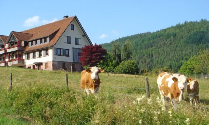 Tonbach Apartment | Apartment Freyenhöfe in Baiersbronn - 2 persons, 1 bedrooms