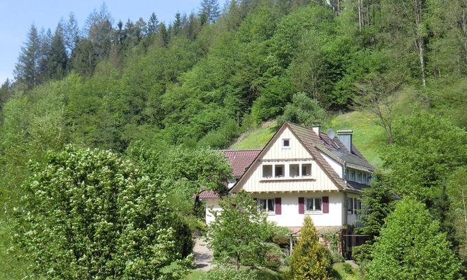Oppenau Apartment | Apartment in a mansion in the Black Forest in a quiet and sunny location