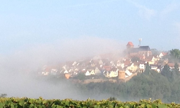 Neuleiningen Apartment | Apartment in fantastic location with view to the wineyards and the forrest