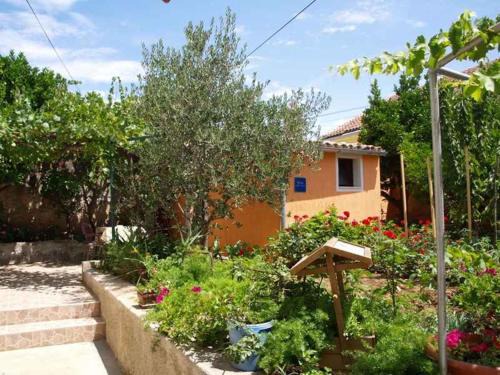 Veli Losinj Apartment | Apartment in Veli Losinj 14933