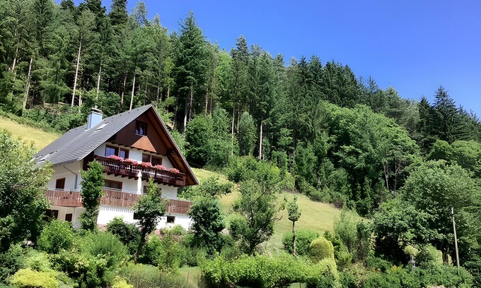 Hornberg Apartment | Apartment 'Living in the Green' with Mountain View, Balcony and Wi-Fi