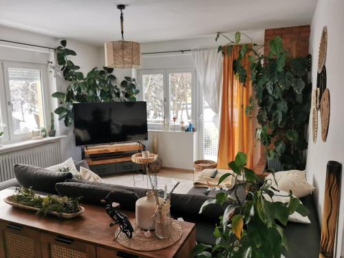 Kobenz Apartment | Apartment nähe Red Bull Ring