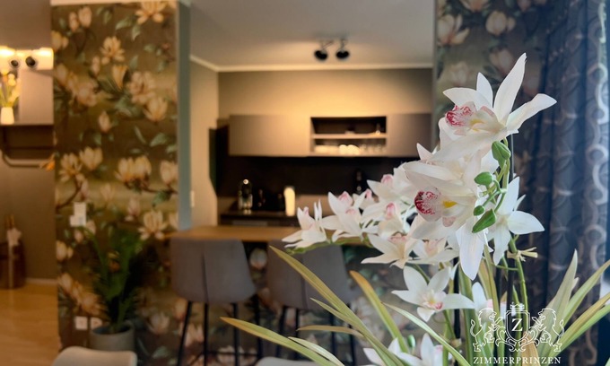 Oldenburg Apartment | Apartment Prinz Leopold Designer Wohnung Zentral Disney+