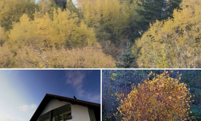 Borzonasca Apartment | Apartment with balcony in villa with park.