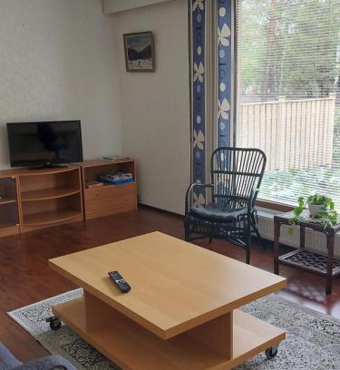 Harjavalta Apartment | Apartment with sauna in Harjavalta, free WIFI