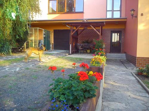 Bzany Apartment | Apartments České Středohoří