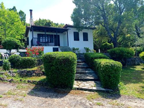 Zagora-Mouresi House | Aphrodite 's cottage