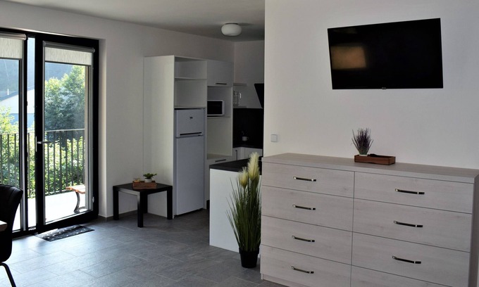 Liberec Apartment | APLUS PARK Apartments No.6