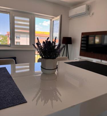 Veliko Gradiste Apartment | App HAMI