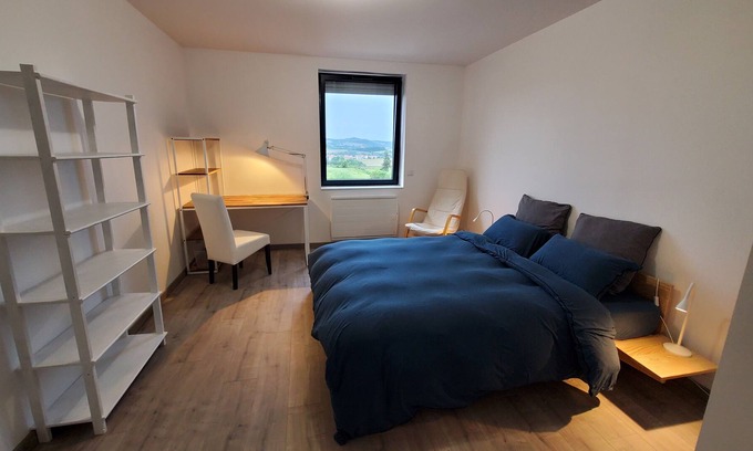 Roche-la-Moliere Apartment | Appart Avec Belle VUE ET Calme