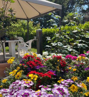 Rancate Apartment | Appartamento in Villa a Triuggio - Monza Brianza