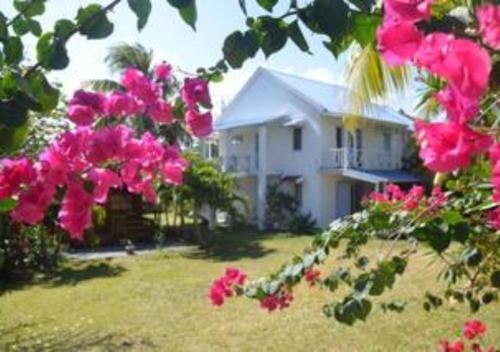 Blue Bay Apartment | appartement lagon blue