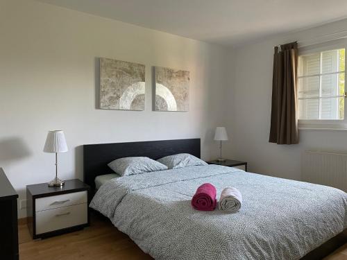 Aclens Apartment | Appartement spacieux proche de Morges et Lausanne