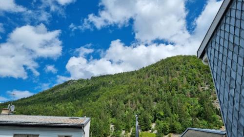 Morez Apartment | Appartement T3 60m2 calme