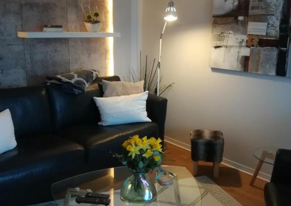 Fasanenhof Apartment | Appartment Fasanenhof Klinikum und Uni nah mit Netflix