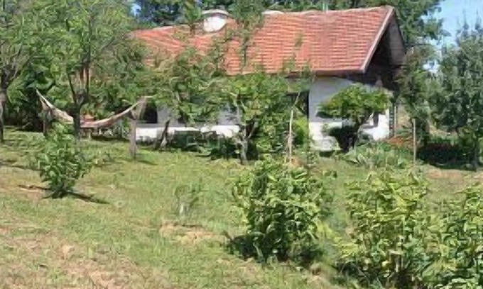 Gabrovcec Cottage | Apple Tree Cottage (6+2) located in a private garden with an orchard