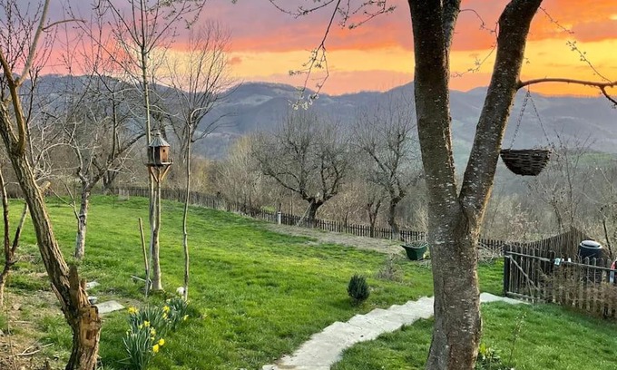 Buces House | Apusenia - darul naturii