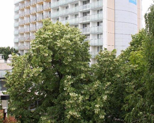 Szeged Apartment | Aquarius Apartman