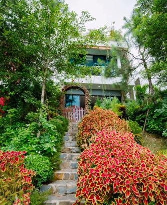 Phuc Yen Villa | ARECA VILLA F316 Venus- Bể bơi nước ấm - Warm water swimming pool, Xông hơi - Sauna, Bi-A, Sup, Karaoke, BBQ, Wifi free