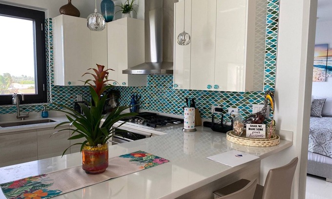 Boroncana Condo | Aruba Oceanview Penthouse Condo - 5 min from beach and resort area