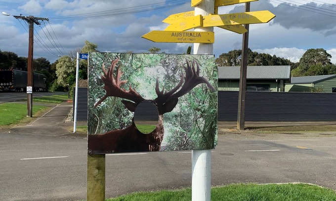 Ashhurst Hotel | Ashhurst Deer N Duck Inn