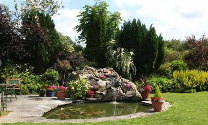 Killotteran Bed & Breakfast | Ashleigh House B&B