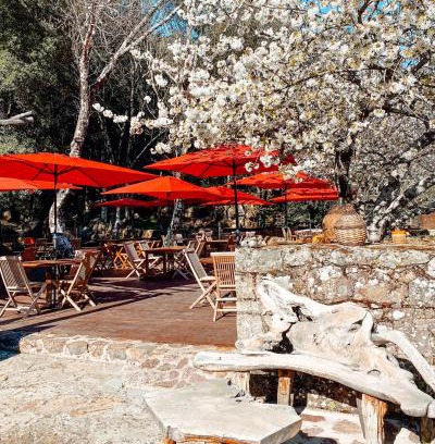 Calenzana Hotel | Auberge De La Foret Bonifatu