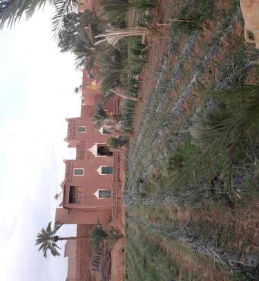 Tamgrout House | Auberge jnane dar diafa se trouve au centre de tamegrouteface de la bibiotheque