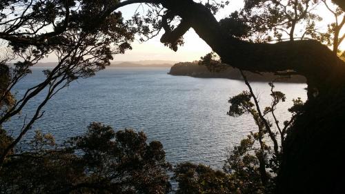 Titirangi House | Auckland Clifftop