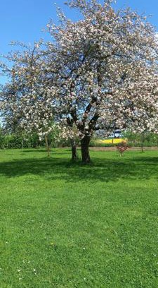 La Sabotterie Bed & Breakfast | Aux trois petites notes