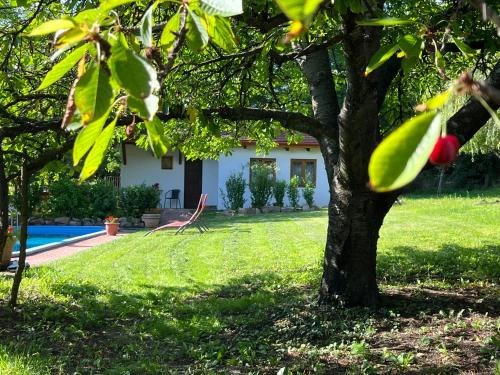Szentbekkalla Apartment | Búzavirág Apartman