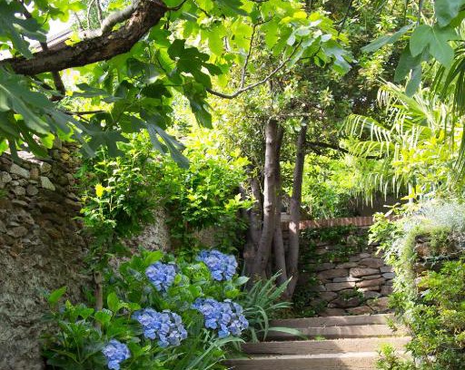 Pinerolo Bed & Breakfast | B&B Casa Carla