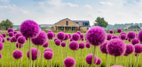 Noordwijk Bed & Breakfast | B&B de Cley