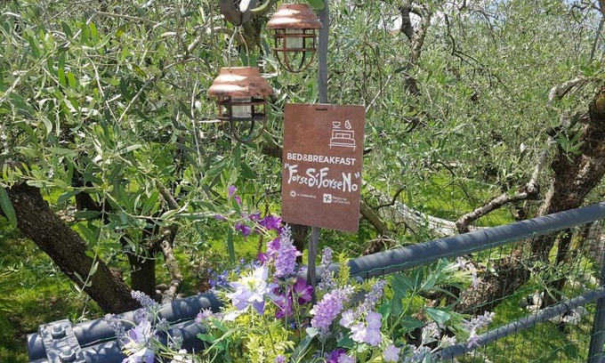 Sulzano Bed & Breakfast | B&B ForseSiForseNo