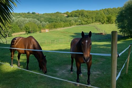 Casalborgone Bed & Breakfast | B&B Freedoms Reins Farm