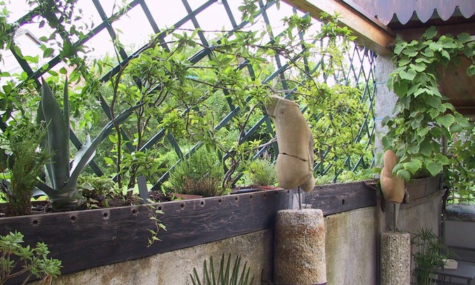 Turate Bed & Breakfast | B&B Il Rustico