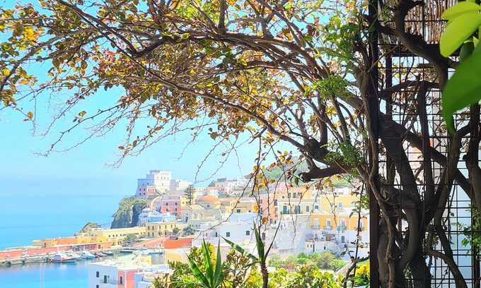 Ponza Bed & Breakfast | b&b La Limonaia a mare 05