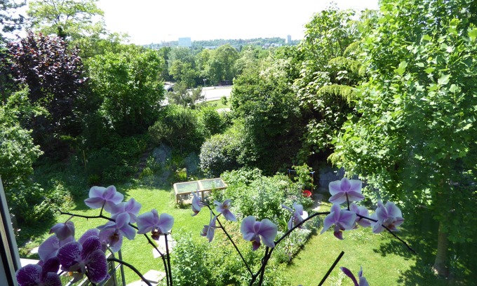 Muttenz Bed & Breakfast | B&B Pappelweg - 2