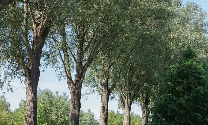 Oudenaarde Bed & Breakfast | B&B Scheldekant